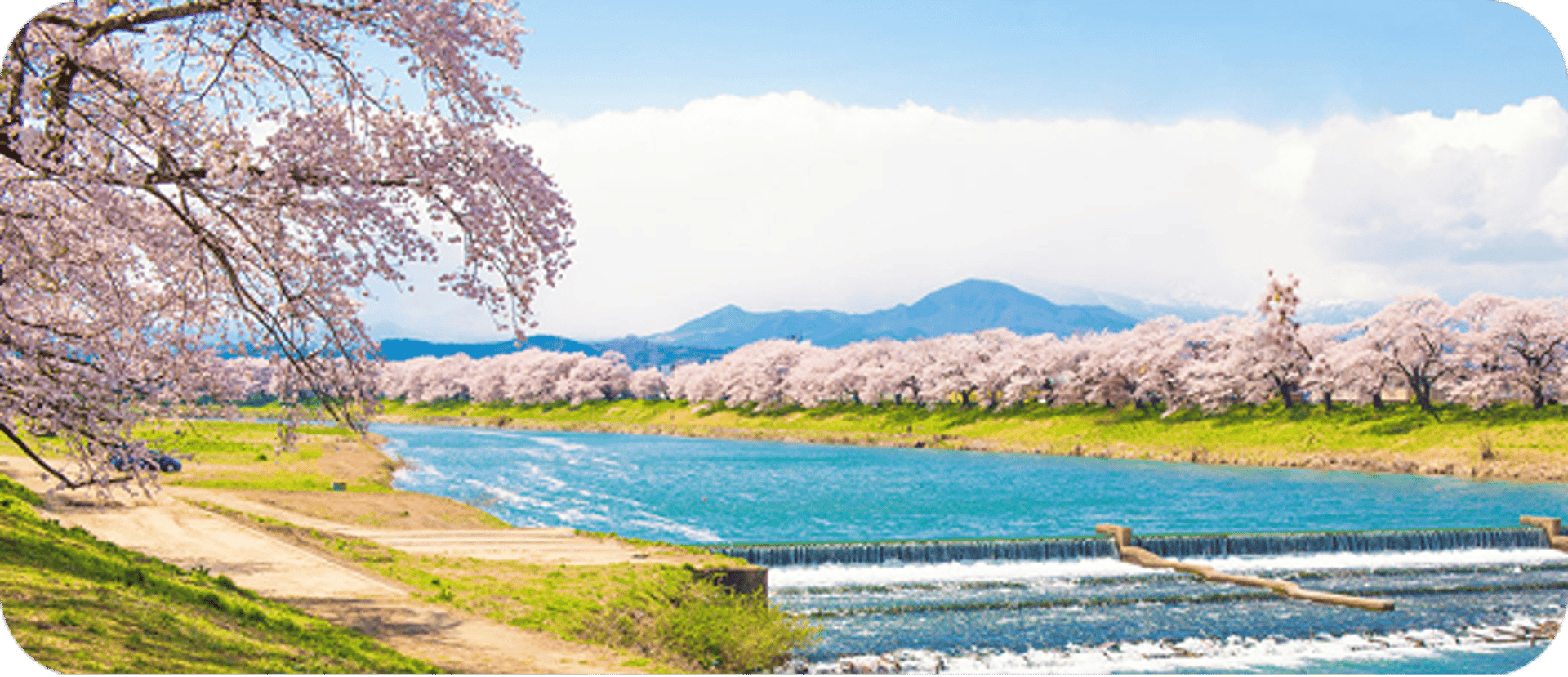 Sendai