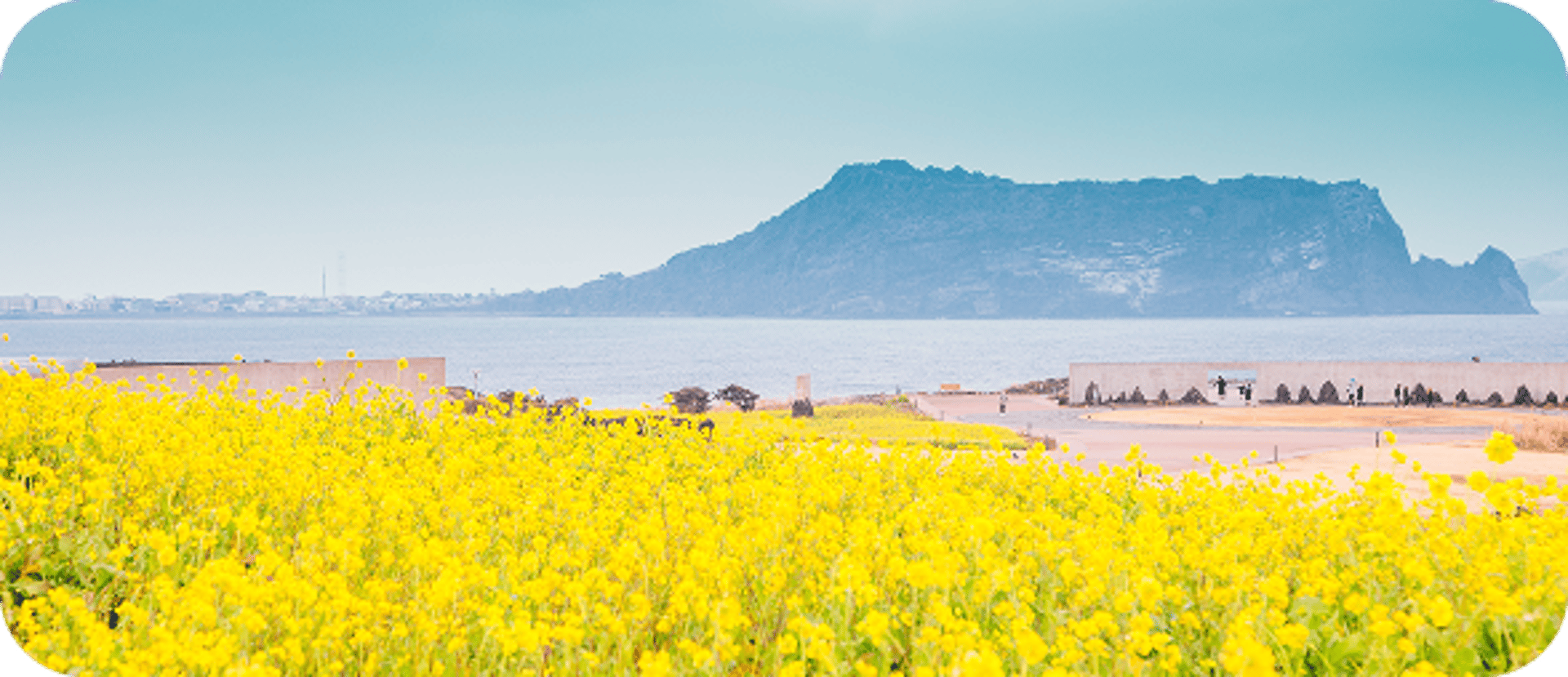Jeju