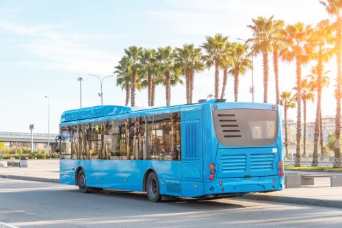 Bus