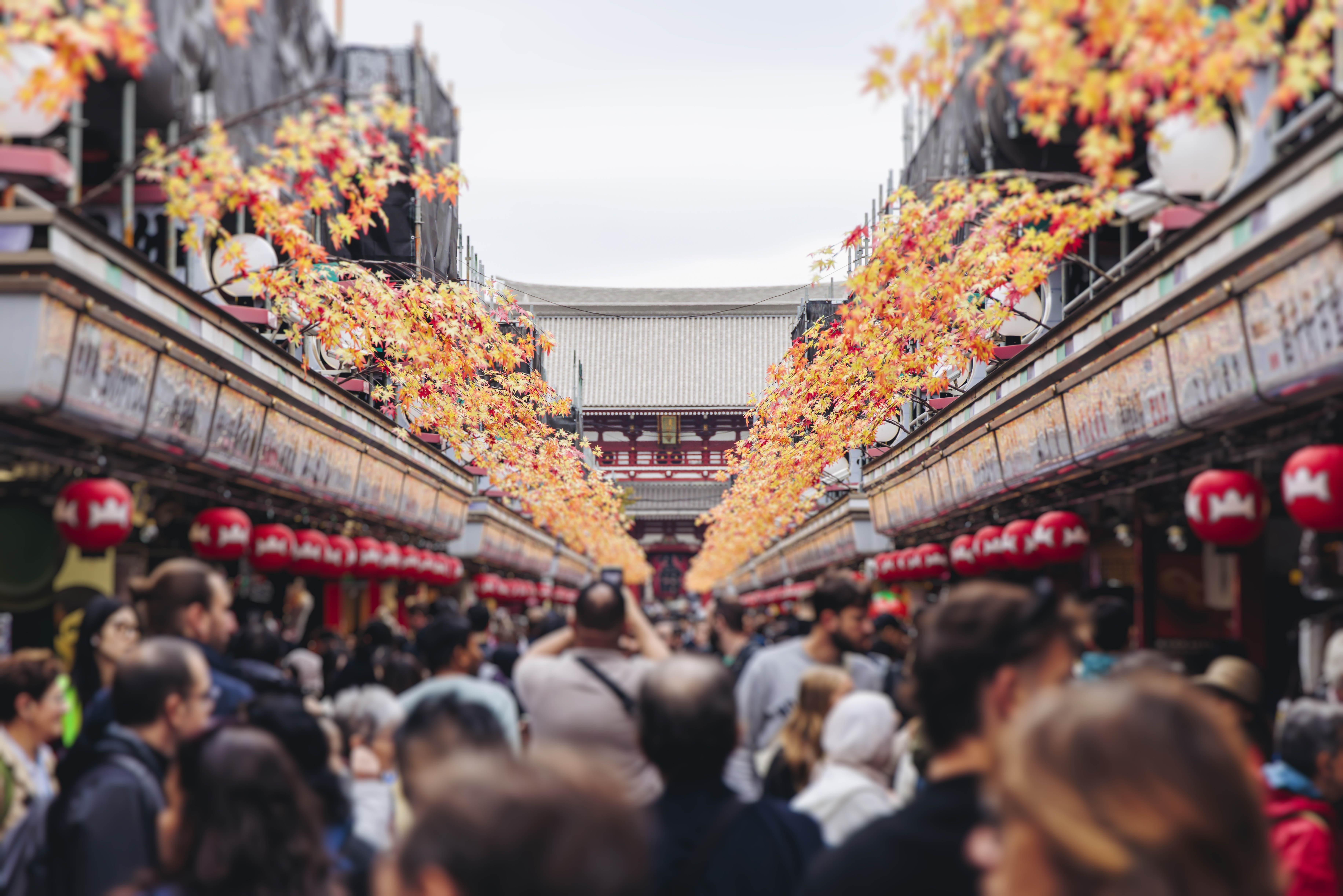 日本秋祭盛事