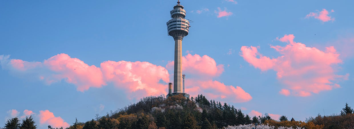 tae-web-banners_Destination-Guide-Banner-Inner-Page_1240x455