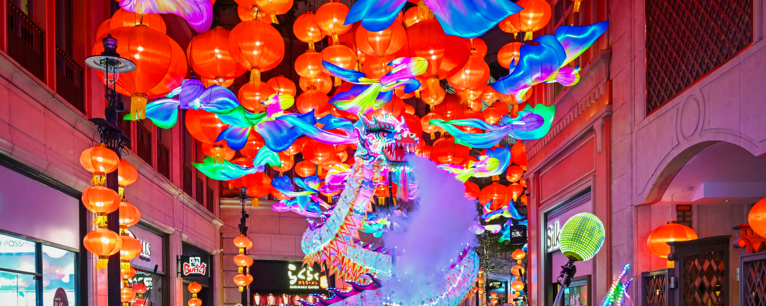 Hong Kong Mid Autumn_Fire dragon