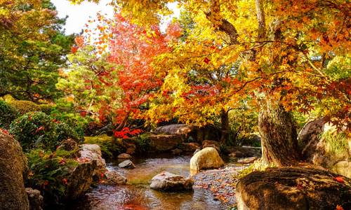 Fukuoka - Fall Foliage