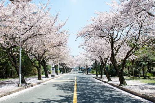 Jeonnong-ro