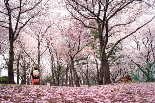 Sinsan Park