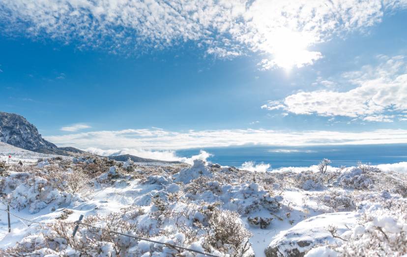 Jan Travel Guide_CJU Snow Trekking