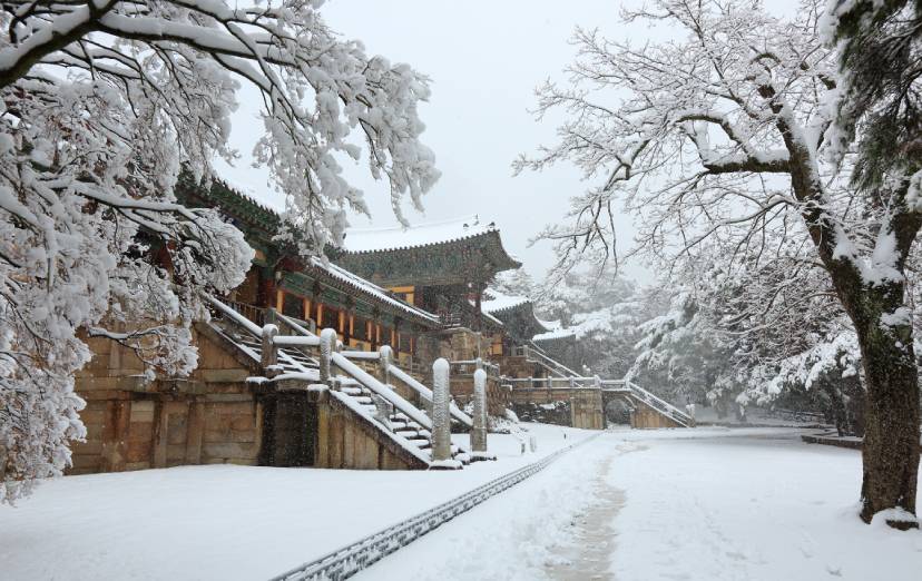 Jan Travel Guide_PUS Winter