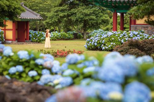 jeju