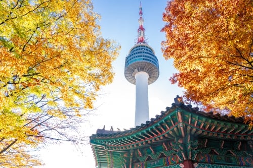Best Place to visit in November #3 | Seoul