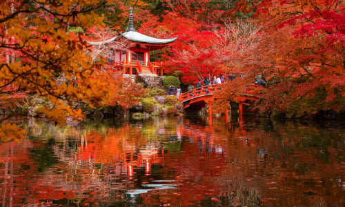 11 月旅行地點推薦！5 大旅遊國家好去處（附賞楓景點推介）
