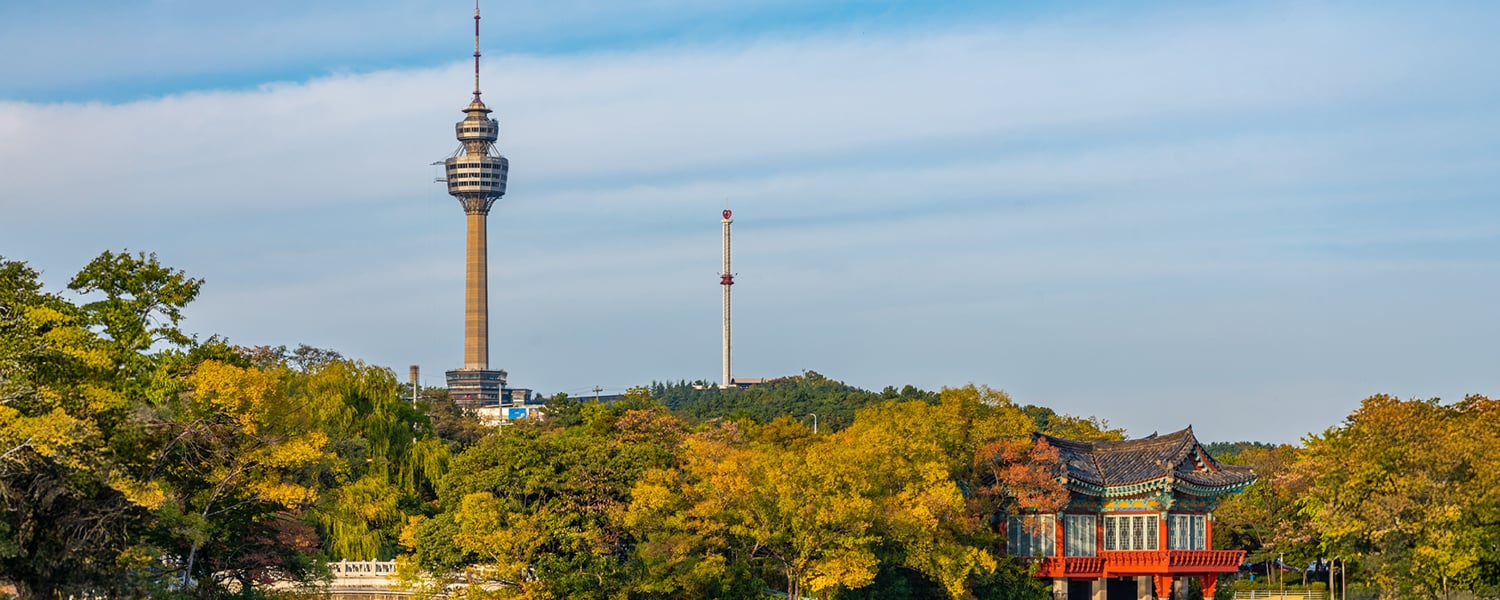 Daegu Travel Guide: Must-Visit Spots & Hidden Photo Gems