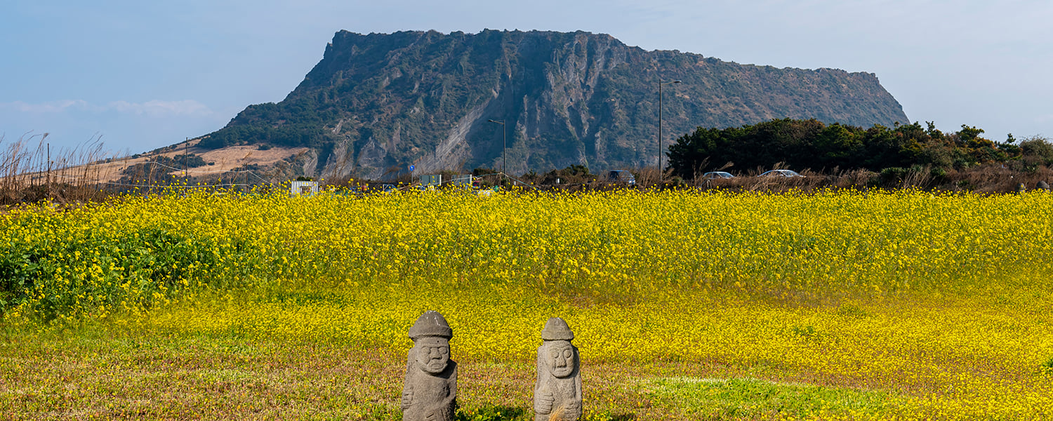 Jeju One-Stop Travel Guide: Attractions, Eats & Easy Itineraries