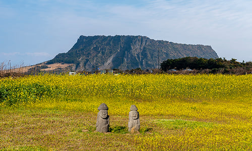 Jeju One-Stop Travel Guide: Attractions, Eats & Easy Itineraries