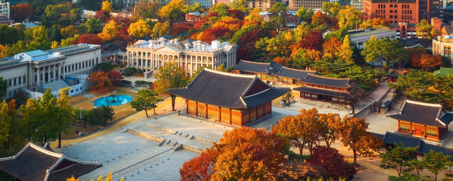 5 Top Things to do in Seoul in Autumn