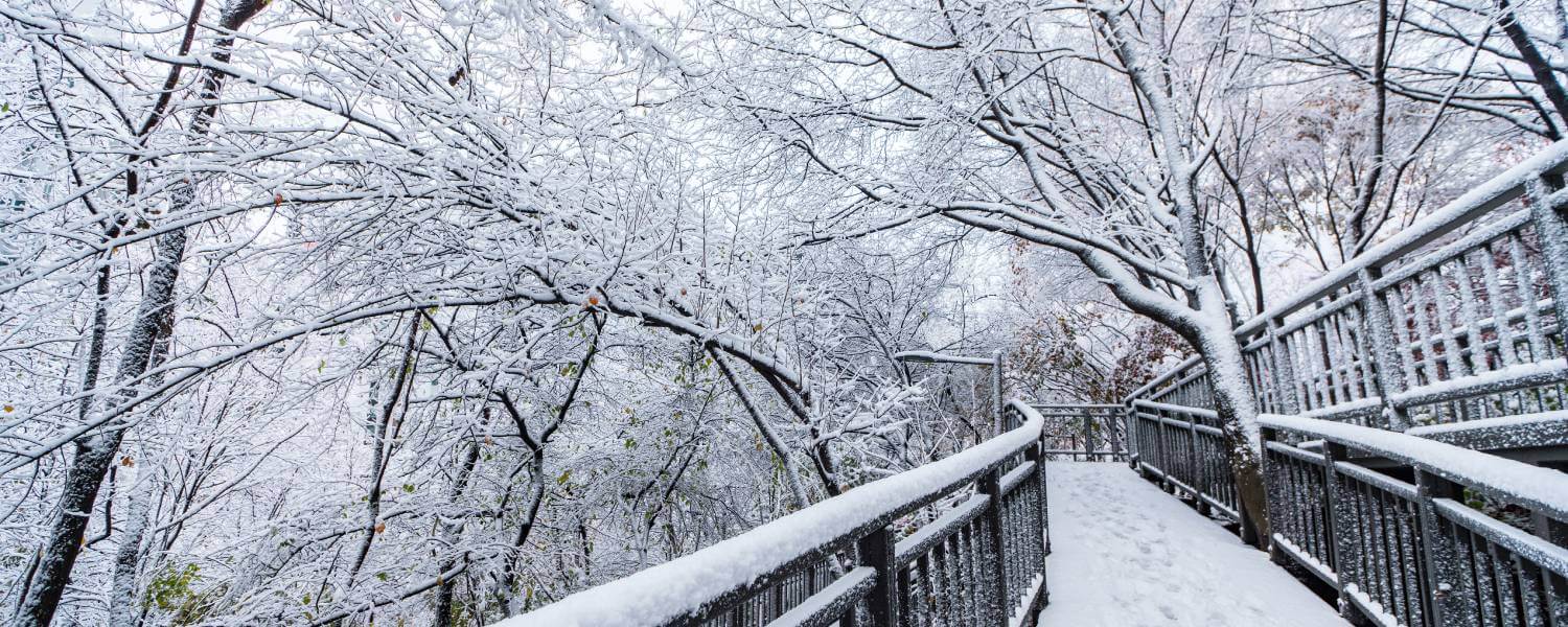 Dec Travel Guide Best Places to Visit in December with HK Express