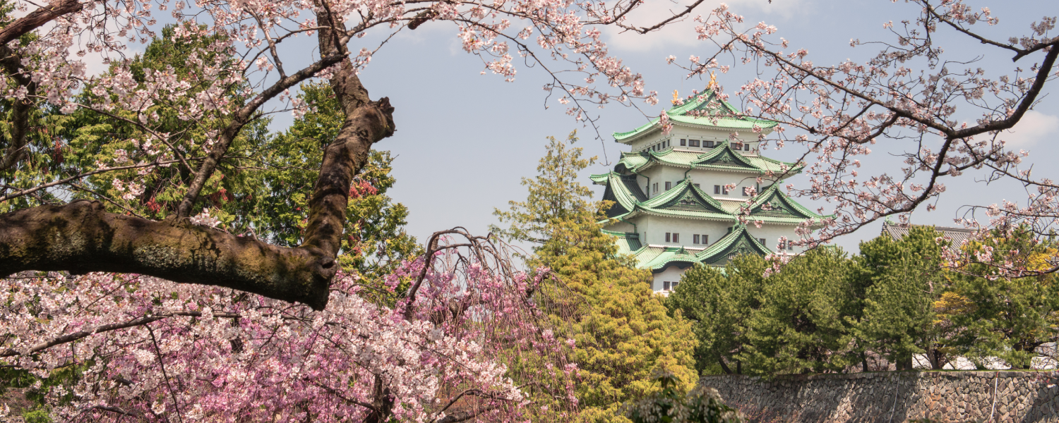Best Places to Visit in March 2026: Top 5 Early-Spring Getaways
