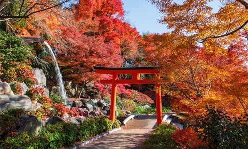 autumnf